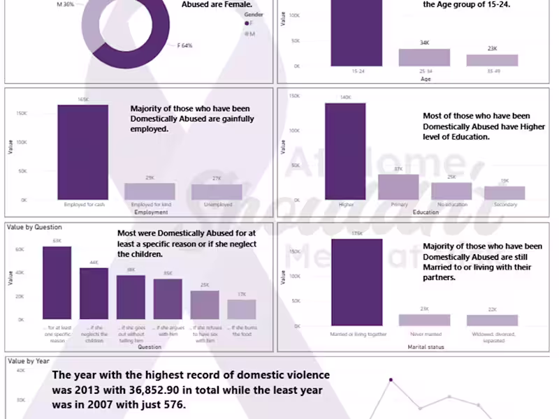 Cover image for Domestic Violence Report 
