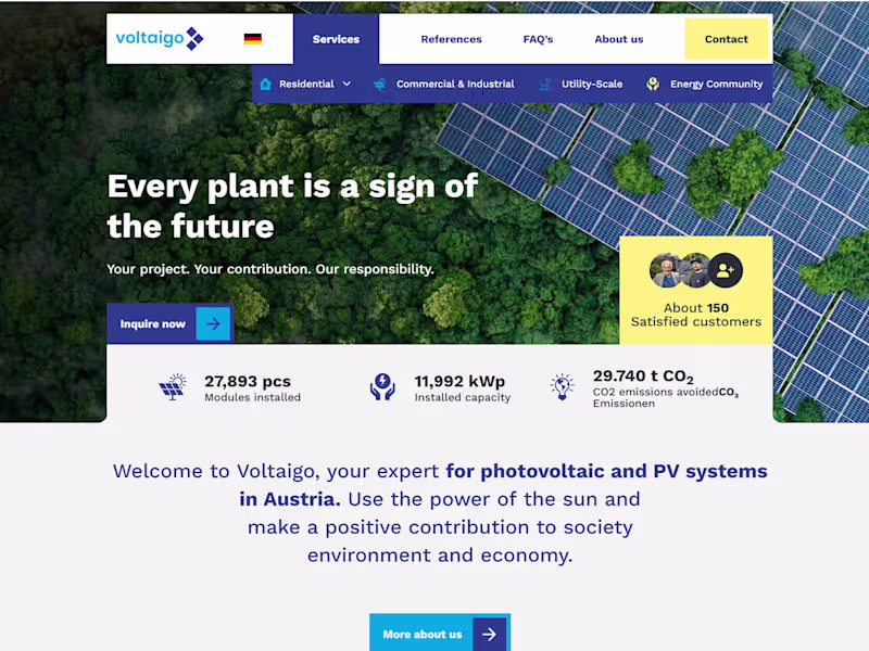 Cover image for Voltaigo