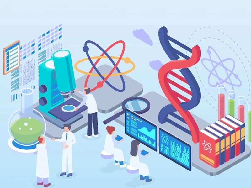 Cover image for Writing research and reports