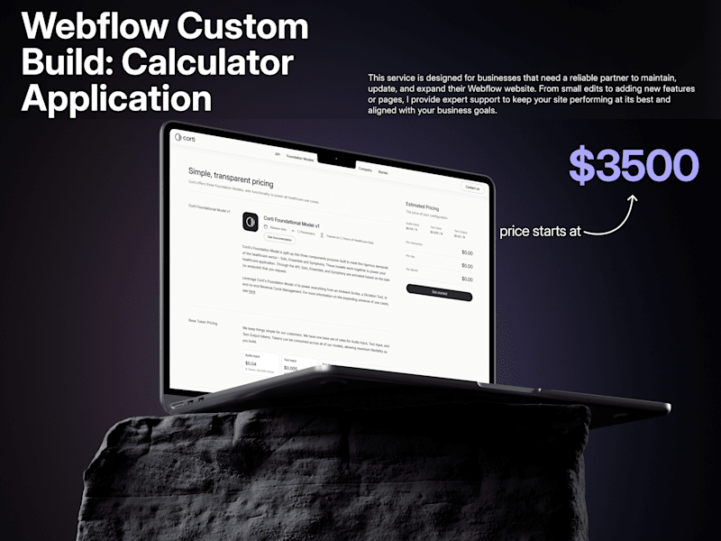 Cover image for Webflow Custom Build