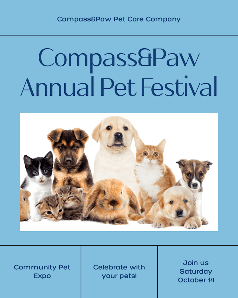 Cover image for Social Media Content Strategy for Compass & Paw