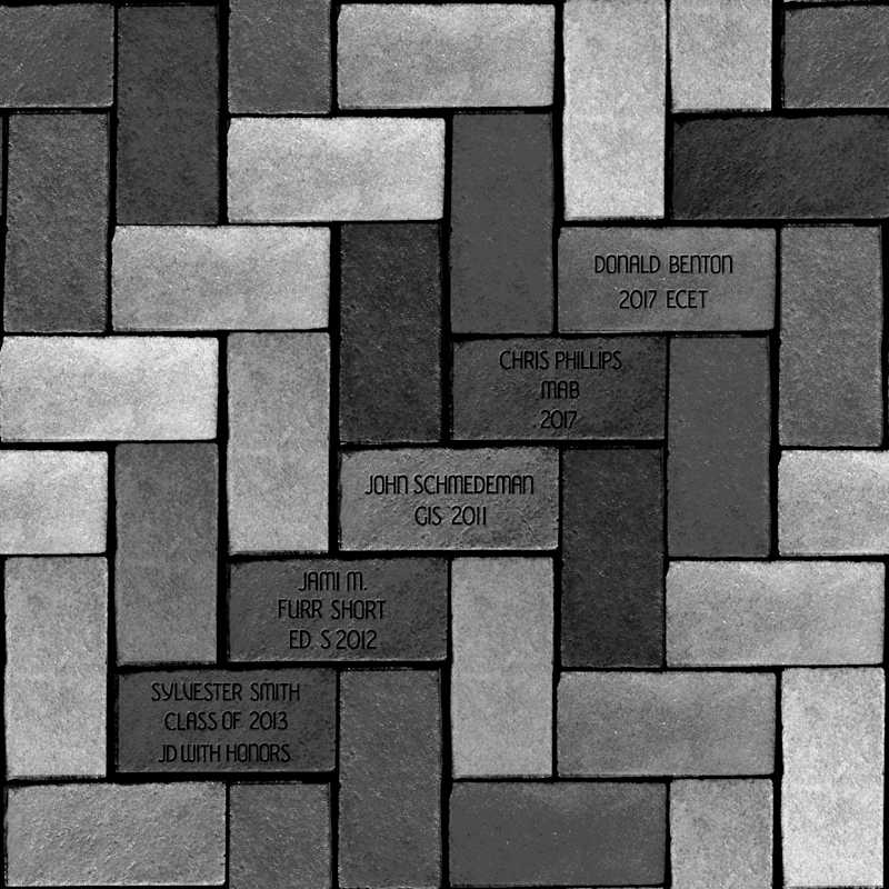 Cover image for Brick Extraction