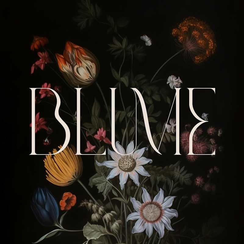 Cover image for Blume I Brand Identity