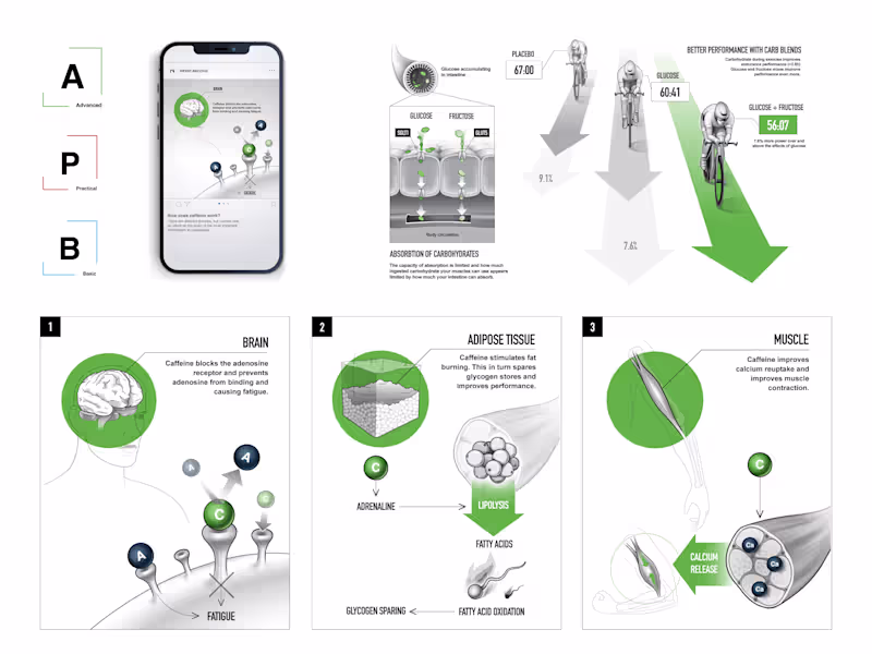 Cover image for Nutrition infographic from a color-coded set(green/red/blue)