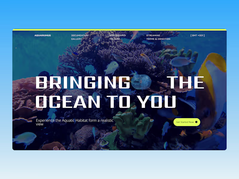 Cover image for Aquariumus Figma to WordPress Development