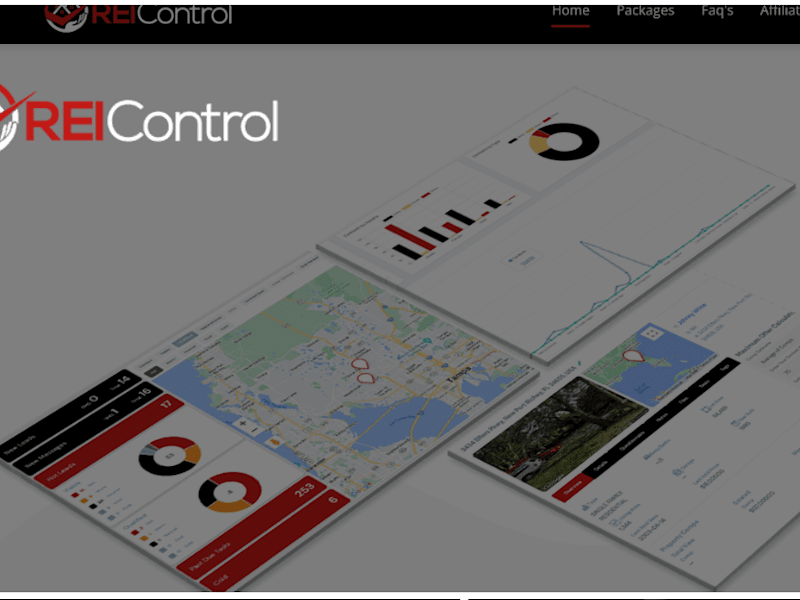 Cover image for REIControl