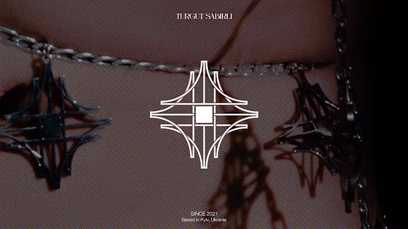 Cover image for TURGUT SABIRLI 