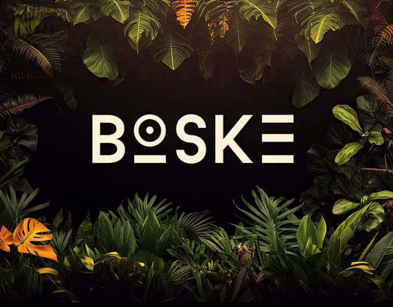 Cover image for BOSKE SOCIAL MEDIA POSTS