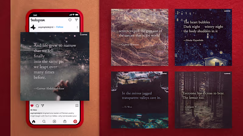 Cover image for Social Media / UGC