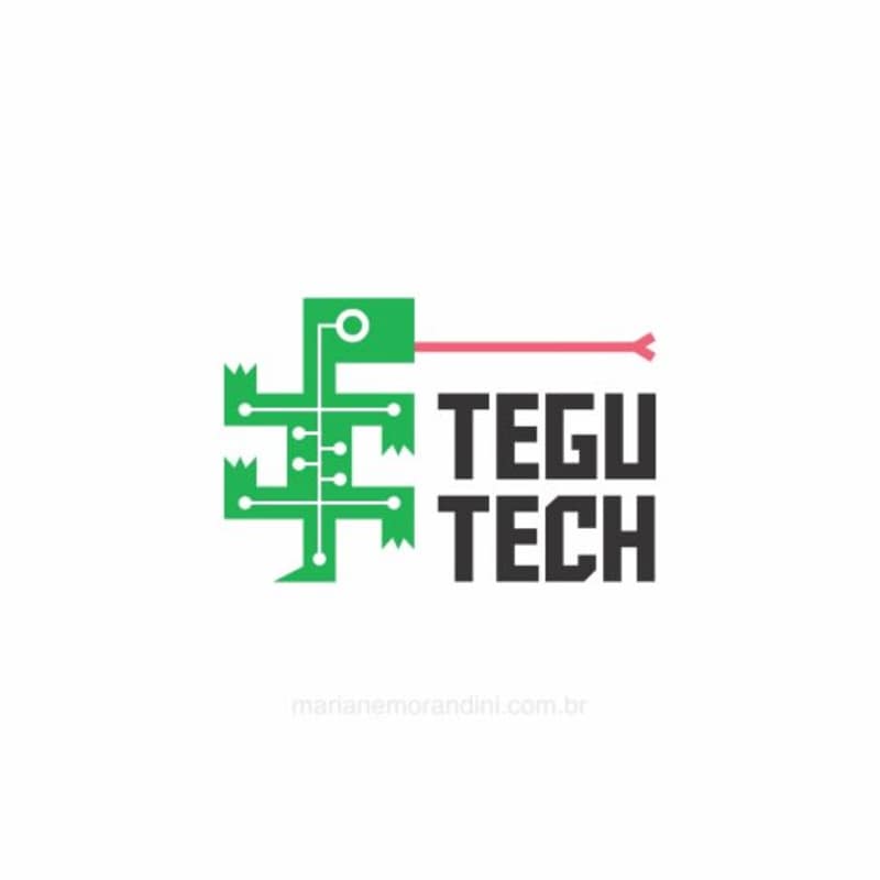 Cover image for Logo for Tegu Tech