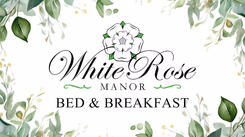 Cover image for Website Build // Brand Refresh