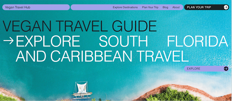 Cover image for Vegan Travel Website