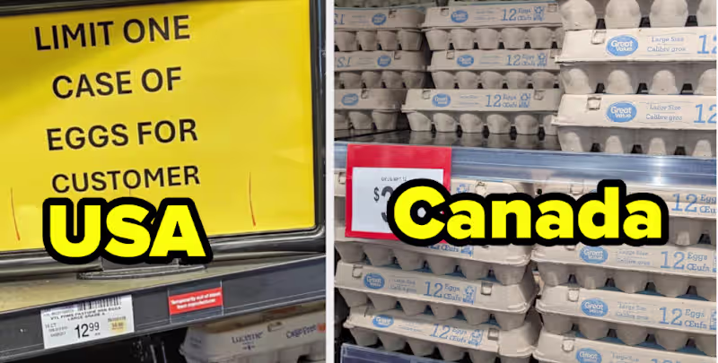 Cover image for Top Ten Reasons to Admire Canada