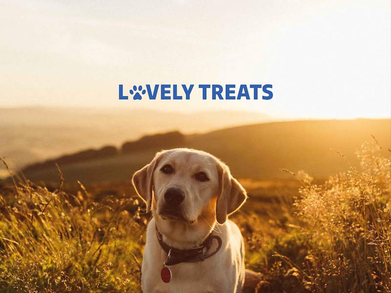 Cover image for Brand identity for Lovely Treats