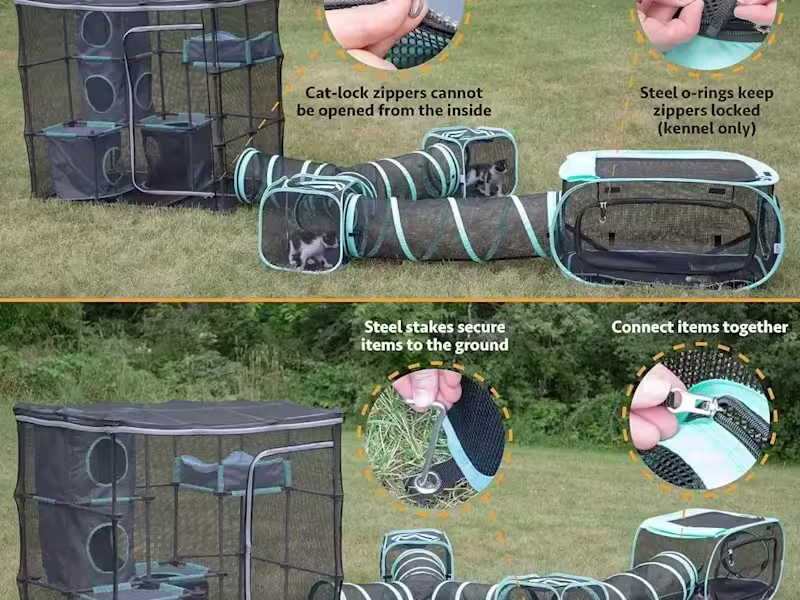 Cover image for I will build your website