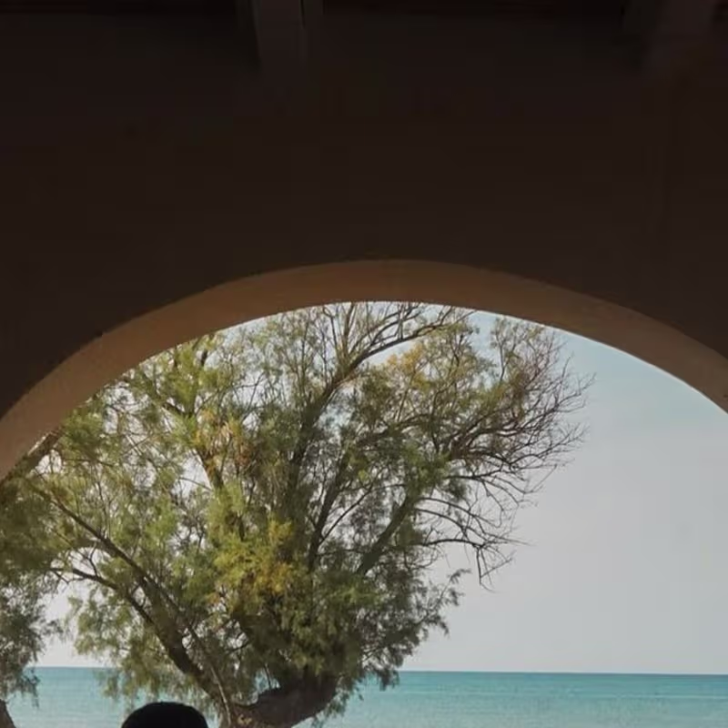 Cover image for Hotel Photography: Domes Zante