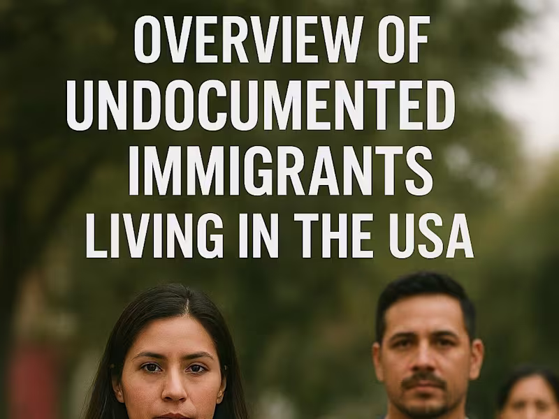Cover image for Undocumented Immigrants in the U.S.: A Comprehensive Report