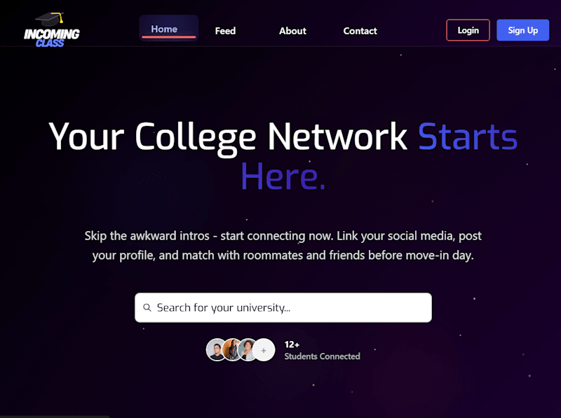 Cover image for University Networking Platform Development