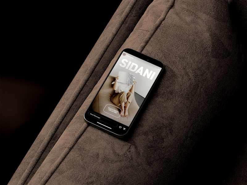 Cover image for Brand Repositioning for SIDANI