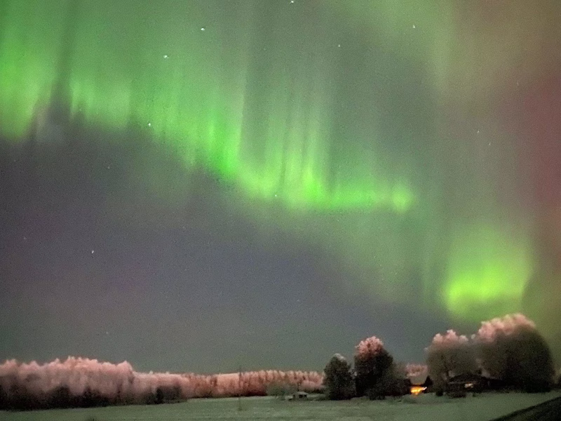 Cover image for Expert Content Writing Services