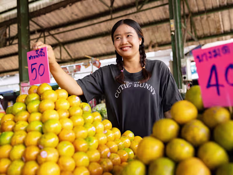 Cover image for I created some articles for a client who was working on a ne...