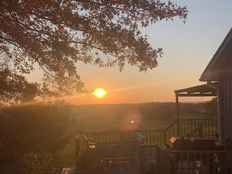 Cover image for Memory View Farms