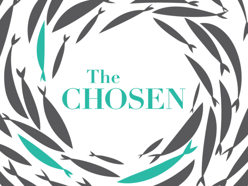 Cover image for The Chosen