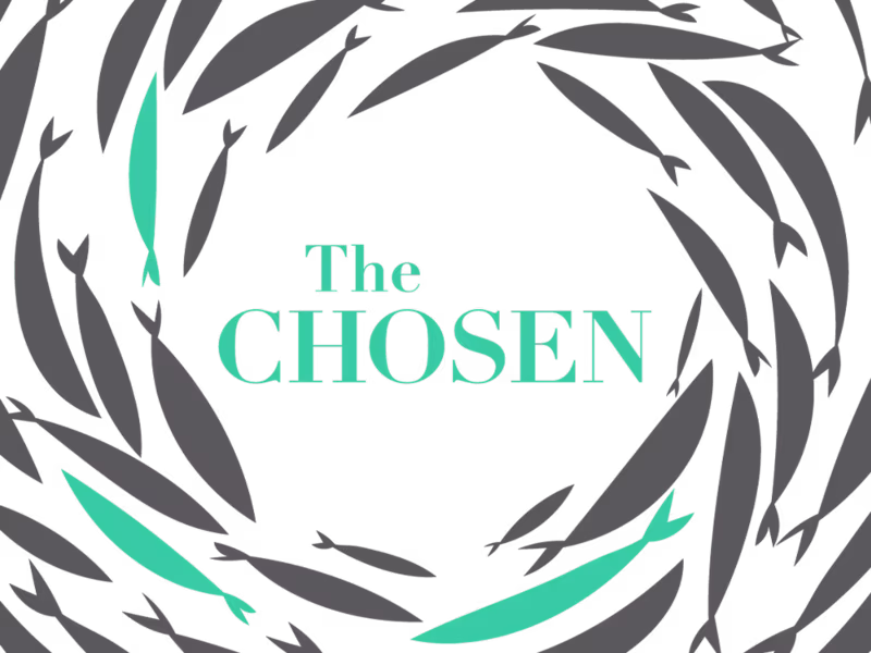 Cover image for The Chosen