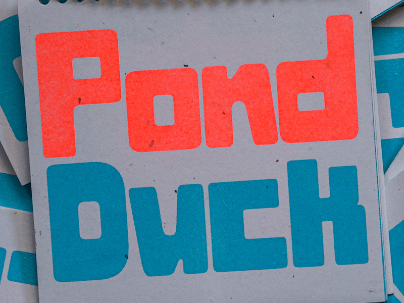 Cover image for Pond Duck Zine: A Font Showcase