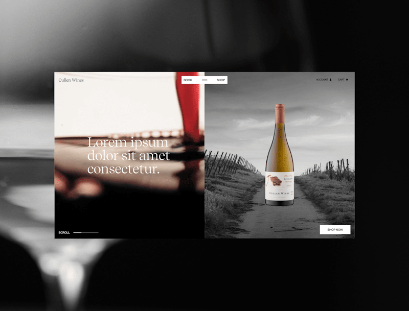 Cover image for Online Store Design for a Wine Company
