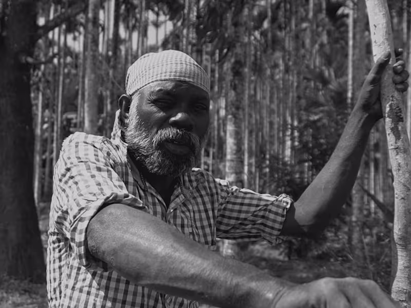 Cover image for Living on the Edge.mp4