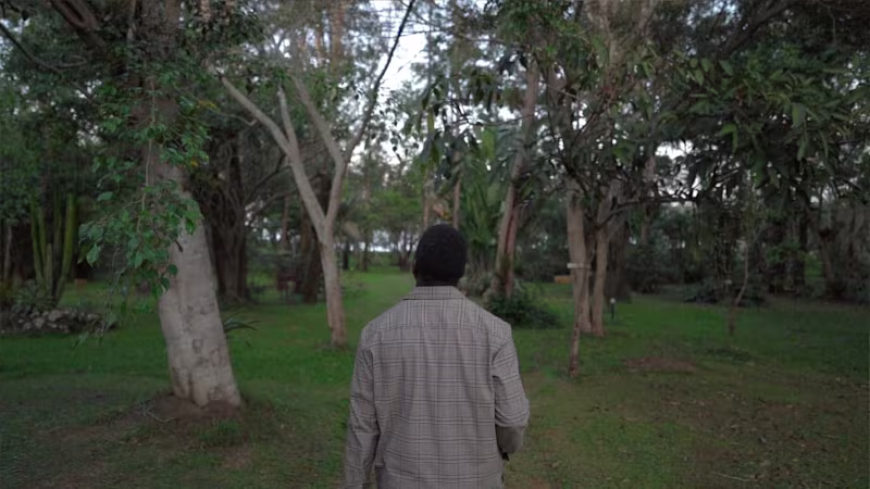 Cover image for Film/Video Production