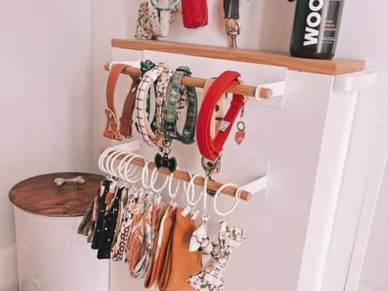Cover image for Ramé Pet Shop| Asistente Virtual