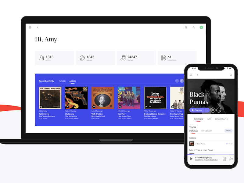 Cover image for Roon Redesign