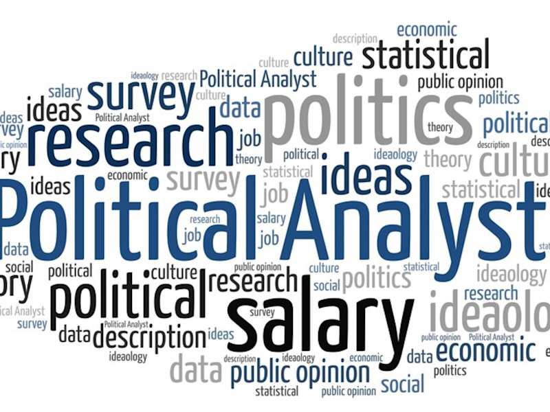 Cover image for political analyst