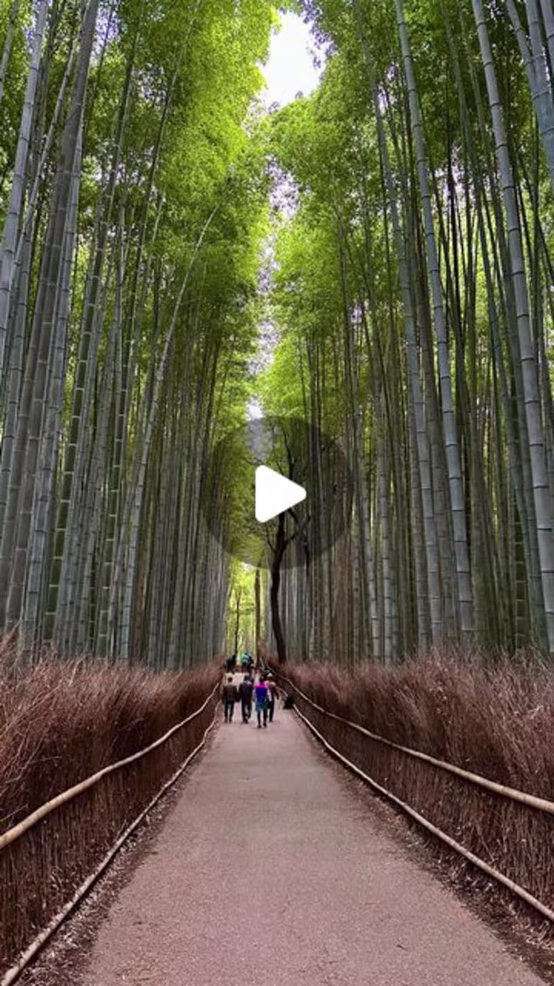 Cover image for Hristo Georgiev on Instagram: “Imagine walking into a living pa…