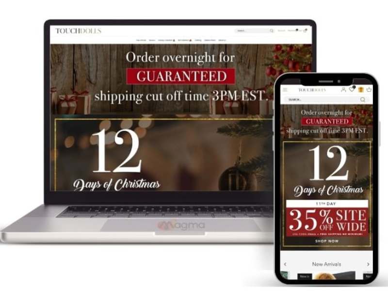 Cover image for Shopify Custom Devloment 