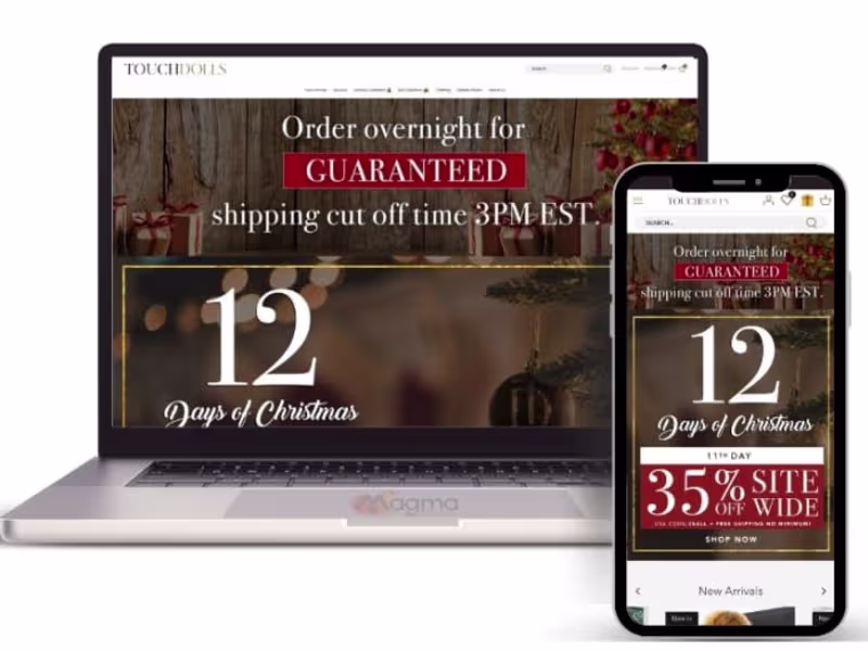 Cover image for Shopify Custom Devloment 