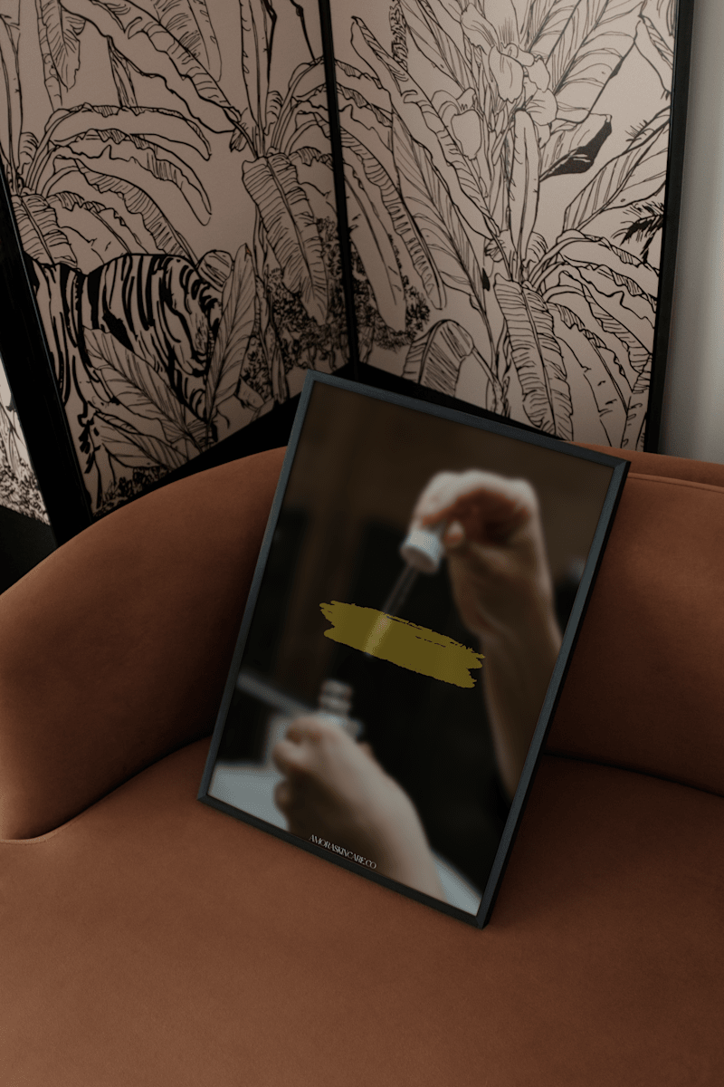 Cover image for Amora (Conceptual Brand) 