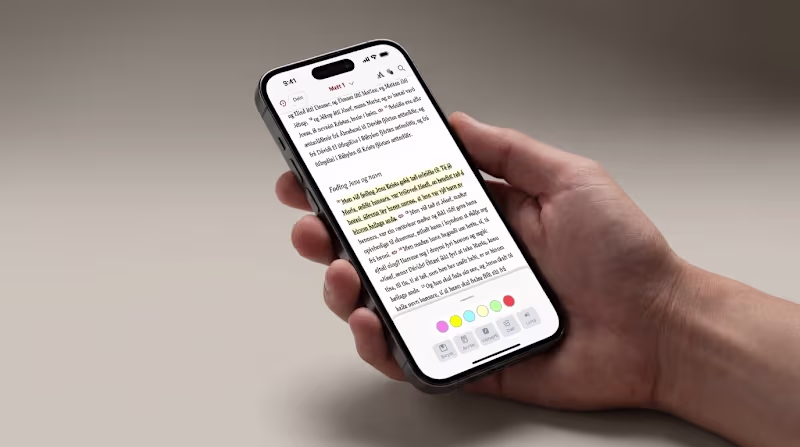 Cover image for Bíbliuappin