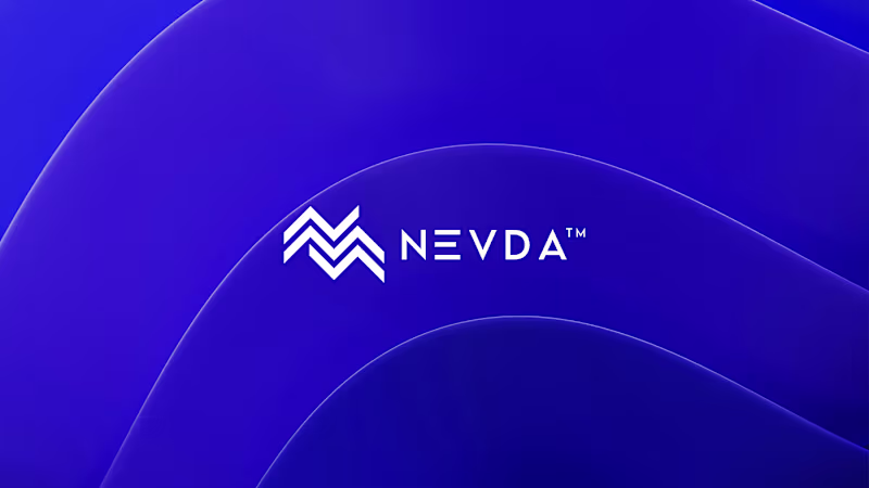 Cover image for Nevda