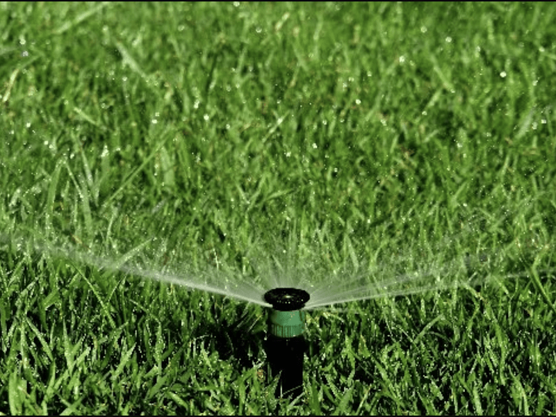 Cover image for Irrigation & Landscaping Services