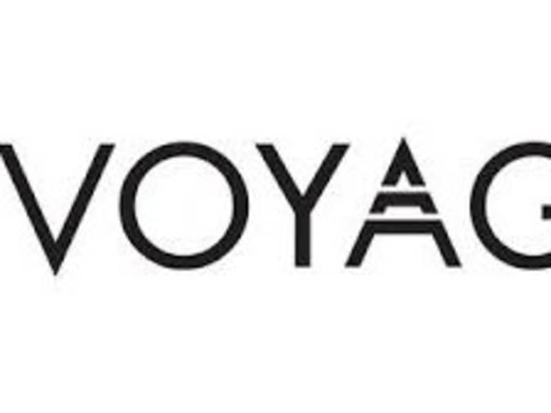 Cover image for Voyage(Real E State)