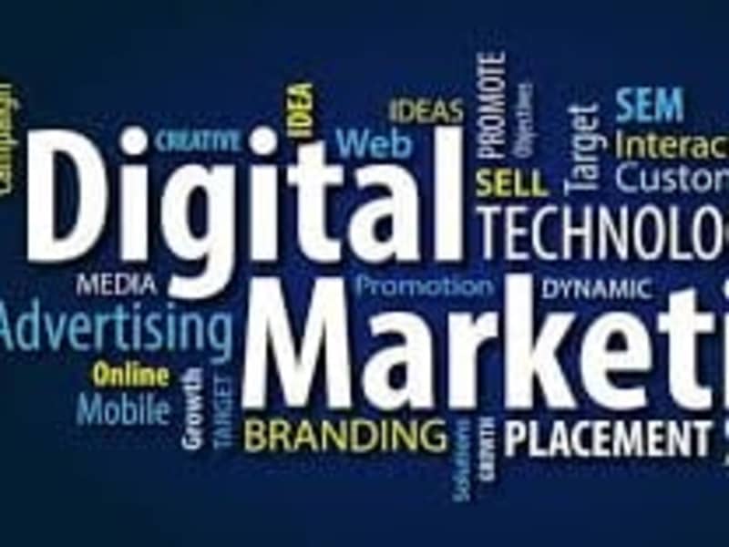 Cover image for Organic Digital Marketing 