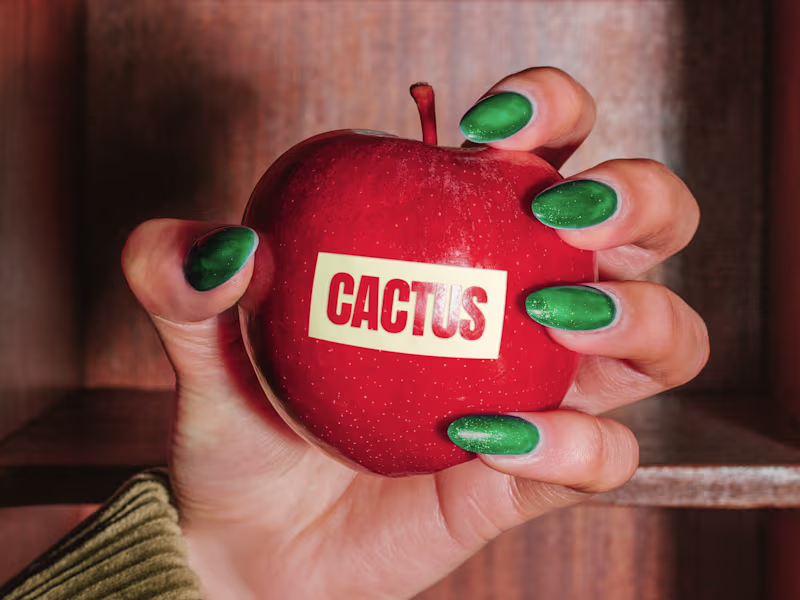 Cover image for WIP Part 02 Explorations