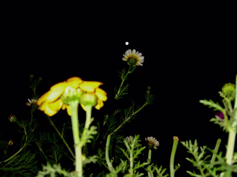 Cover image for Subtle & Stylish Photo Editing