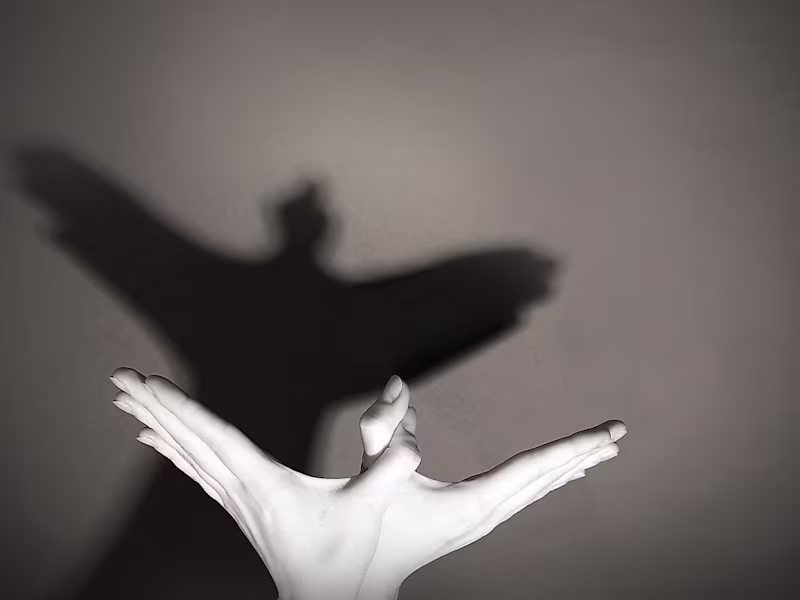 Cover image for THE SILENT SHADOWS
