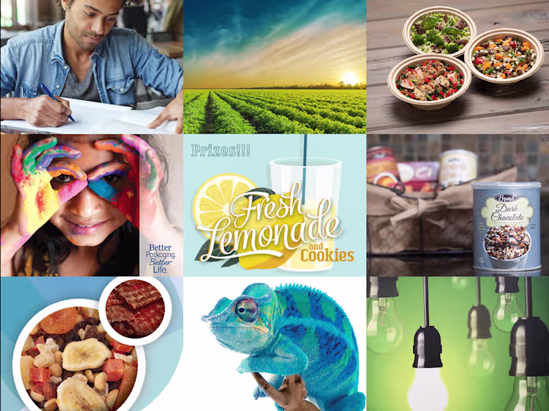 Cover image for Elevate Your Brand with Custom Logos, Colors, and Visuals