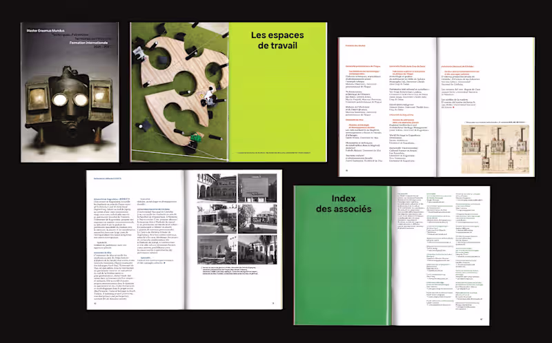 Cover image for Master Erasmus Mundus TPTI