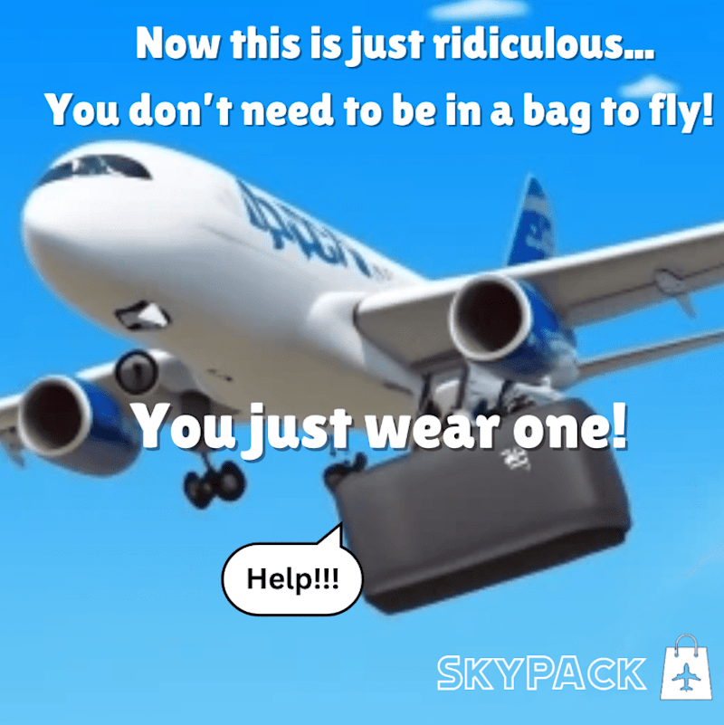 Cover image for SkyPack Mock Ad